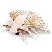 ZHONGXIN MADE Silk Moth Plush Toy Lifelike Silk Moth Stuffed Animals 11in Realistic Soft Big Wings Moth Toys Simulation Butterfly Plushie Model Toy Unique Plush Collection for Kids - Image 4