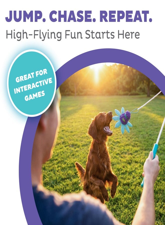 اوتورد هاوند لعبة عصا الإثارة من Outward Hound FlyFetch للكلاب مع ملحق يصدر صوت خشخشة، متينة للعب في الأماكن المغلقة والمفتوحة، مناسبة لجميع السلالات، 17.7 بوصة - Image 2