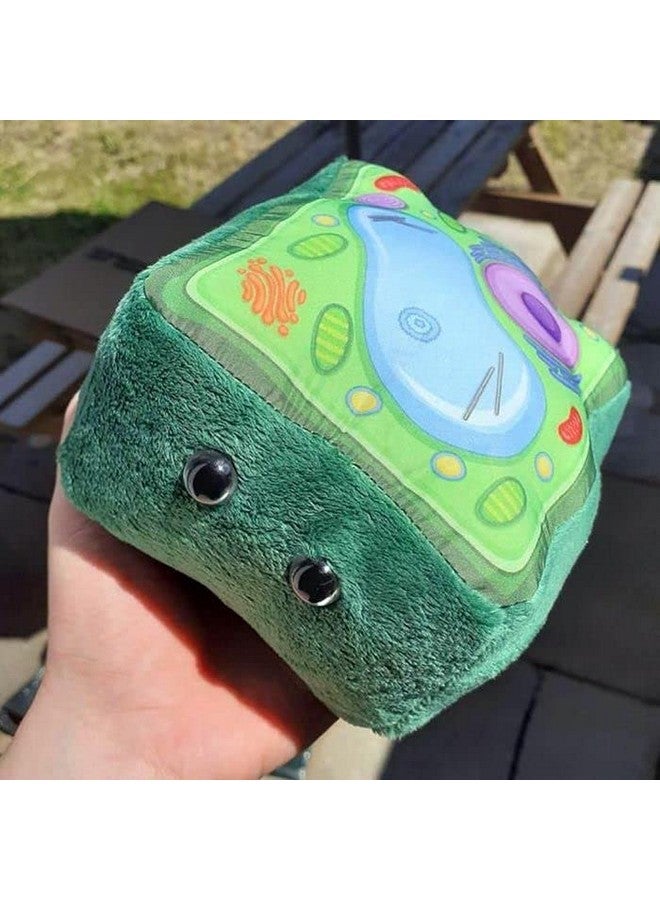 Giant Microbes GIANTmicrobes Plant Cell Plush, Plant Cell Model, Plant Cell Stuffed Animal, Plant Plush Toy, Cell Biology, Plant Physiology, Plant Classroom Decor, Plant Science, Plant Biology, Plant Anatomy - Image 3