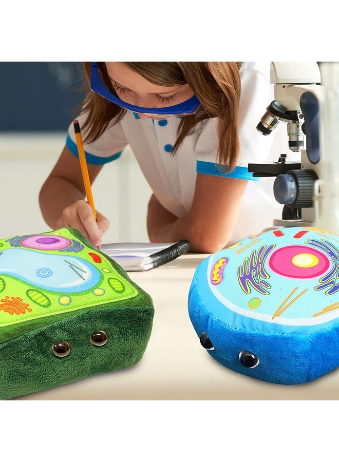 Giant Microbes GIANTmicrobes Plant Cell Plush, Plant Cell Model, Plant Cell Stuffed Animal, Plant Plush Toy, Cell Biology, Plant Physiology, Plant Classroom Decor, Plant Science, Plant Biology, Plant Anatomy - Image 4