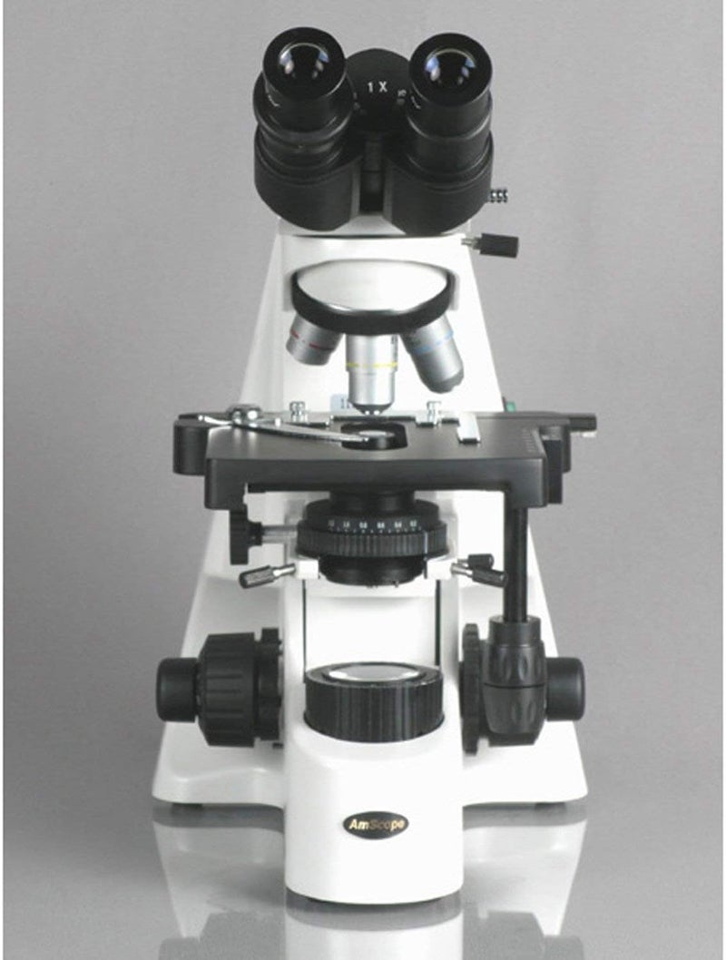 AmScope AmScope B660C Siedentopf Binocular Compound Microscope 40X2500X Magnification WH10x and WH25x SuperWidefield Eyepieces SemiPlan Objectives Brightfield Kohler Condenser DoubleLayer Mechanical Stage  - Image 3