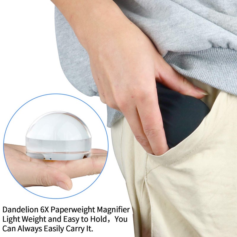 Dandelion 6X Dome/Paperweight Magnifier w/Pouch Table Magnifying - Image 5