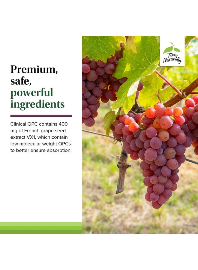 Terry Naturally Clinical OPC Extra Strength - Cardiovascular Health & Focus Support - Supplement with Grape Seed Extract - Immune Support Supplement - 60 Softgels (Pack of 2) - Image 5