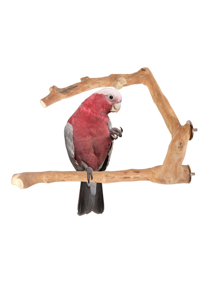 CHEWY BEAK Parrot Perch for large birds - Image 1