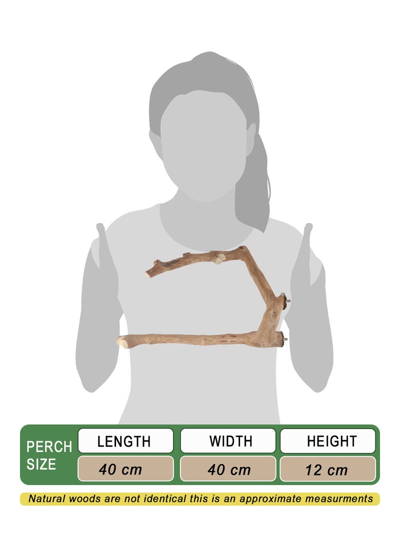 CHEWY BEAK Parrot Perch for large birds - Image 2