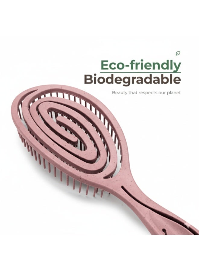 زيلر فرشاة فك تشابك الشعر العضوية القابلة للتحلل الحيوي الصديقة للبيئة للنساء والأطفال والرجال - فرشاة شعر من بقايا القهوة الطبيعية مثالية للشعر الأملس والمجعد والمبلل - Image 2