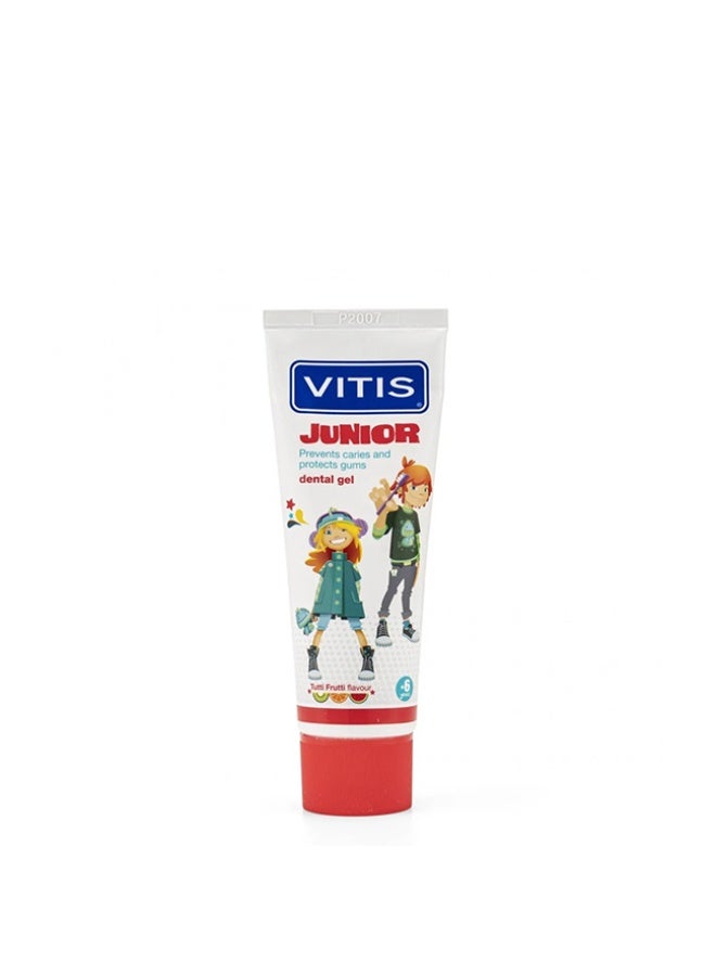 Vitis Dentaid Vitis Junior Toothpaste Tutti Frutti Flavor 75ml - Image 1