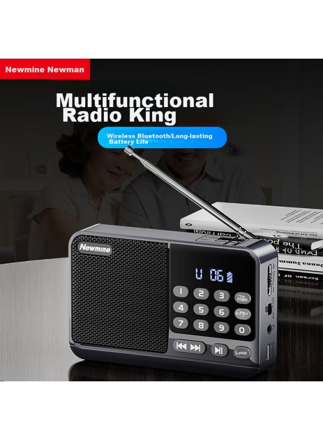 Newmine Newman N120 Radio For Elderly, Semiconductor, Rechargeable, Lightweight, Portable, Card-insertable, Mini Speaker, Broadcast, Music, Opera, Storytelling, Bluetooth Player, Gift - Image 1
