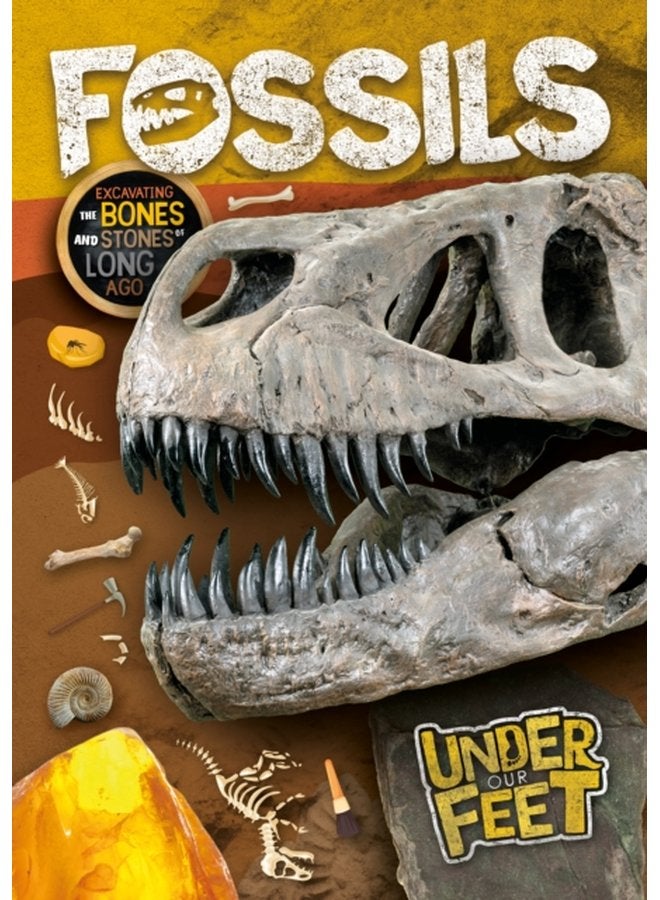 Fossils - Hardback