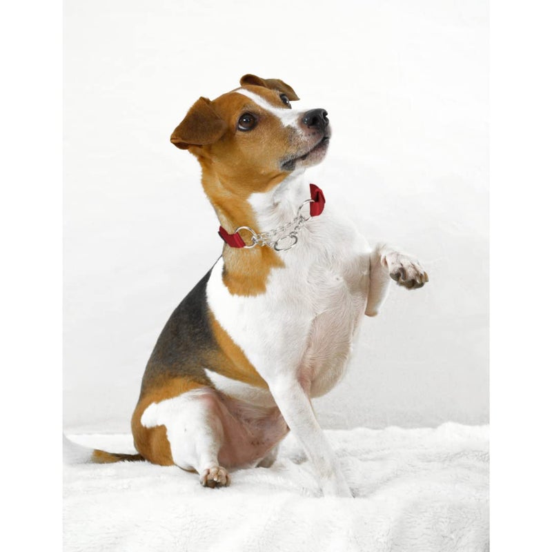 Trixie Premium Stop-The-Pull Collar, Adjustable Nylon Collar for Dogs, Made with Strong Metal Chain to Easily Slip Around Dog's Neck – (M-L, Cherry RED) - Image 4