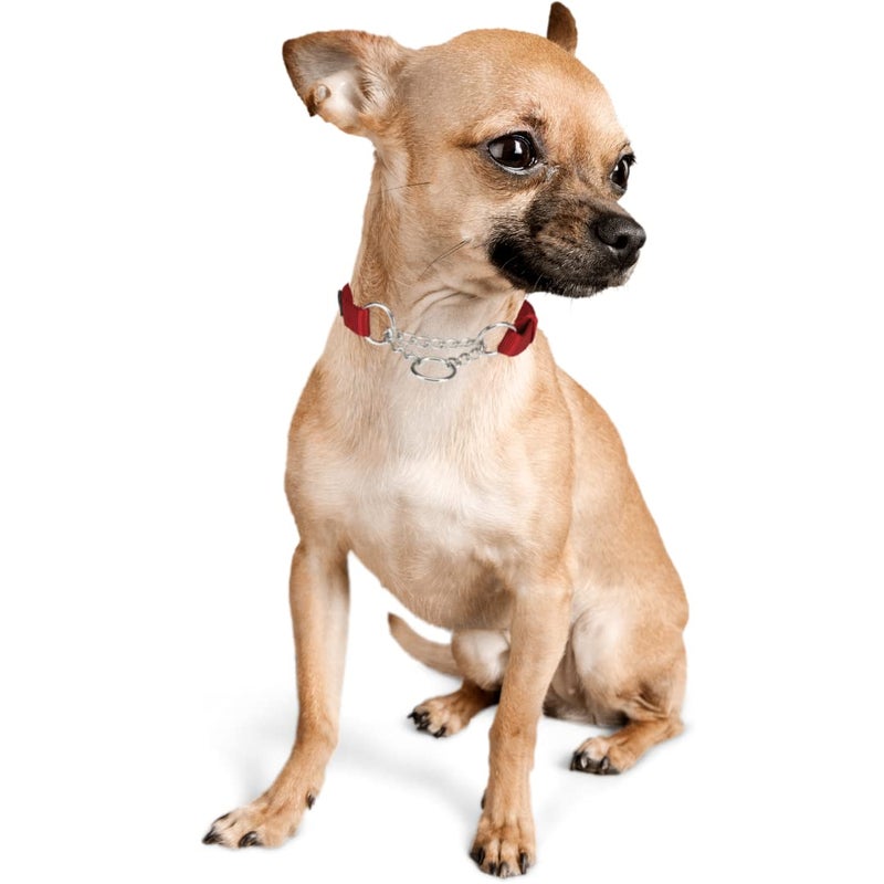 Trixie Premium Stop-The-Pull Collar, Adjustable Nylon Collar for Dogs, Made with Strong Metal Chain to Easily Slip Around Dog's Neck – (M-L, Cherry RED) - Image 5