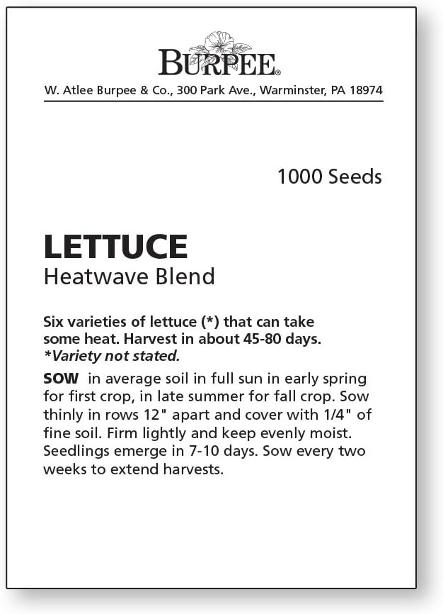Burpee Heatwave Blend Lettuce Seeds 1000 seeds - Image 5