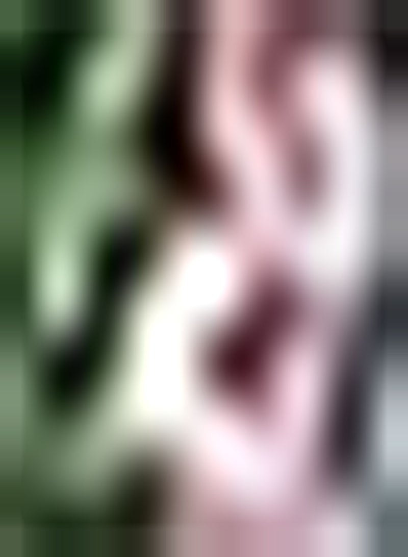 جي جوت 10 قطع روز جلاديولين بولين ألوان Verfrissend Aangenaam Mooie Tuindecoratie Het Hele jaar Door geplant Creëer EEN andere sfeer - Image 2