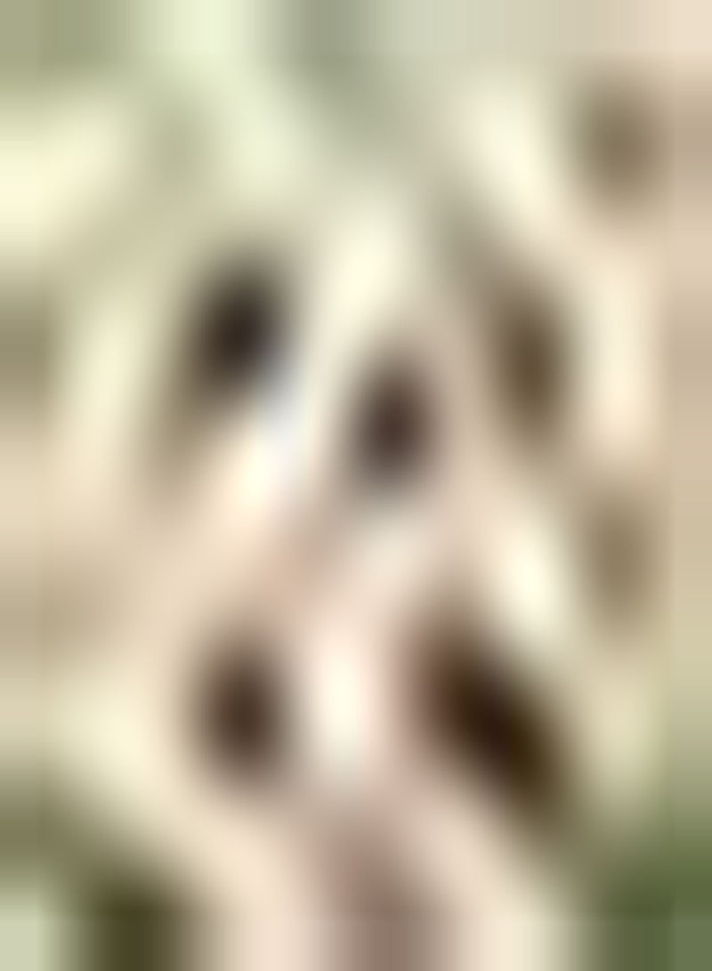 جي جوت 10 قطع روز جلاديولين بولين ألوان Verfrissend Aangenaam Mooie Tuindecoratie Het Hele jaar Door geplant Creëer EEN andere sfeer - Image 1