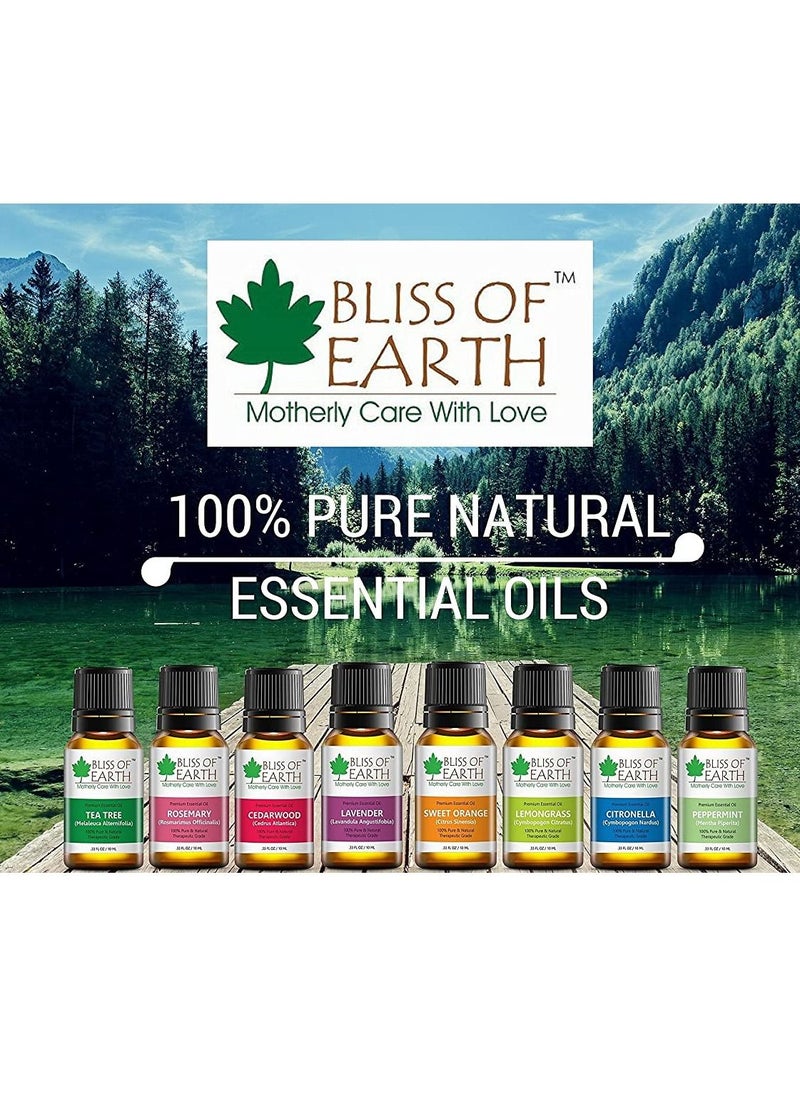 BLISS OF EARTH 100% Pure Eucalyptus Essential Oil, 10ml  - Image 5