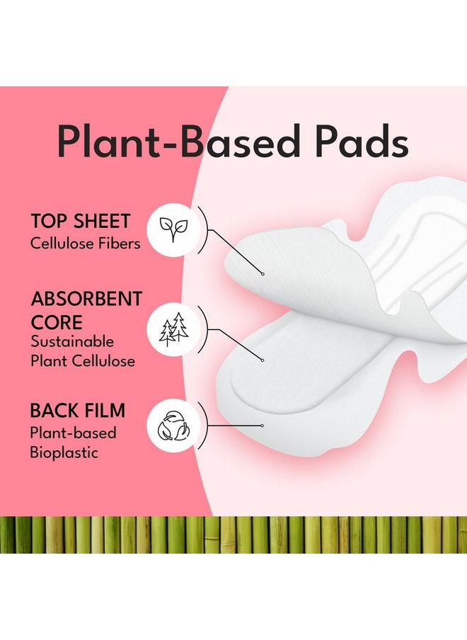 Sparkle Bamboo Maxi Pads | Plant Based Sanitary Pads for Women | Super Soft & Leak-Proof Sanitary Pads with Wings | USDA Certified Biobased, Chlorine-Free, Hypoallergenic | Overnight, 24 Count