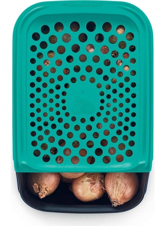 Tupperware Onion/Garlic Storage 3l  - Image 1