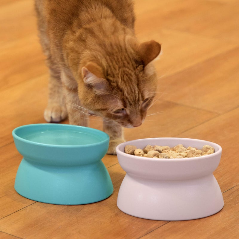 Kitty City Raised Cat Food Bowl Collection/Stress Free Pet Feeder and Waterer and Slow Feed Bowls - Image 3