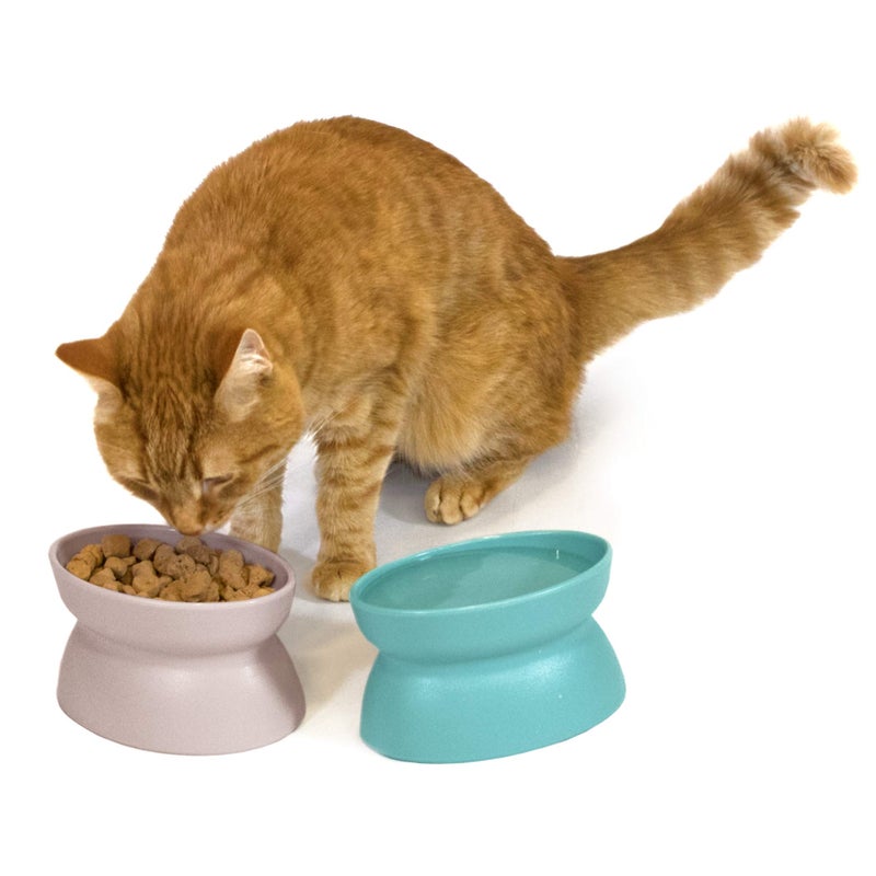 Kitty City Raised Cat Food Bowl Collection/Stress Free Pet Feeder and Waterer and Slow Feed Bowls - Image 5