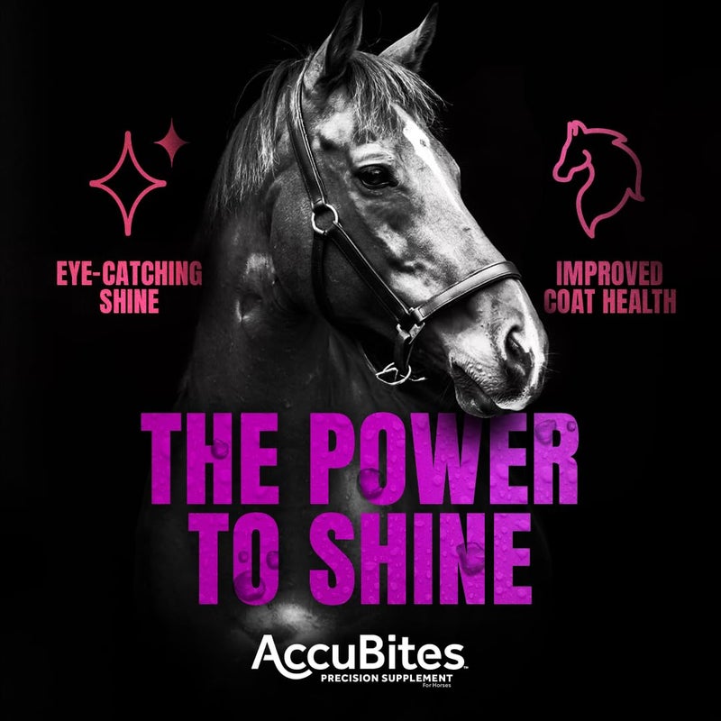 Manna Pro AccuBites Radiance Equine Supplement - Skin & Coat, Essential Vitamins & Hoof Health for Horses - Packed with Omega 3, 6, & Biotin - Main & Tail Maintenance - Alfalfa Flavored - 7.5 lbs - Image 4