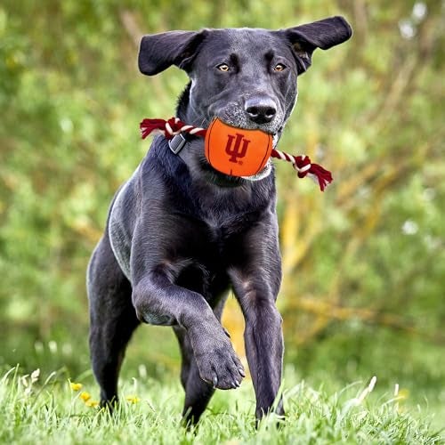 Pets First NCAA Indiana Hoosiers Mascot Toy for Pets. Plush Dog Toy with 5 Inner SQUEAKERS. 21" Long Dog Toy, IND-3226 - Image 3