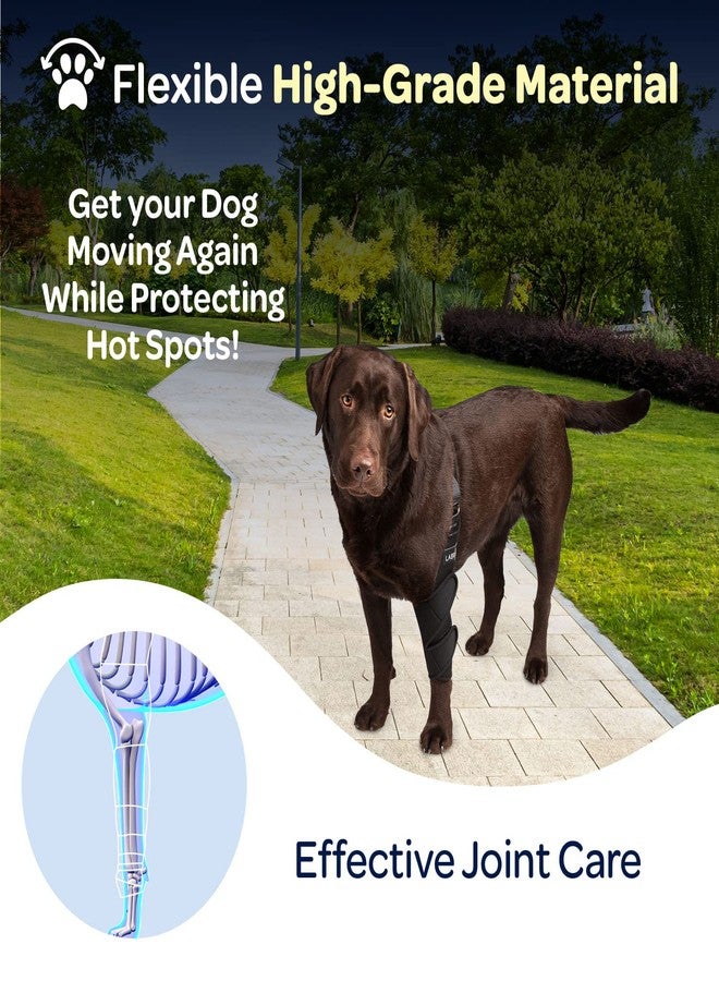 Labra Dog Canine K9 Shoulder Elbow Callus Pain Relief Brace - Hot Spot Hygroma Hotspot Wound Chewing Protector Wrap For Arthritis, Sprained, Injured Joints Vet Approved - Small, Left Leg - Image 5