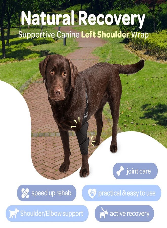 Labra Dog Canine K9 Shoulder Elbow Callus Pain Relief Brace - Hot Spot Hygroma Hotspot Wound Chewing Protector Wrap For Arthritis, Sprained, Injured Joints Vet Approved - Small, Left Leg - Image 2