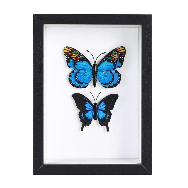 BESIDOTREE BESIDOTREE 6x8 Black Shadow Box Frame Display Case for PhotosFlowersWedding BouquetsAwardsInsects and Memorabilia 