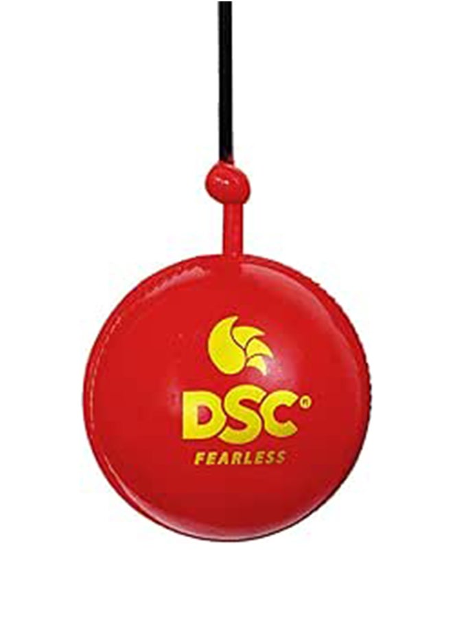 DSC Hanging Synthetic Cricket Ball (Red)| Rubber | Suitable for Practice Game | Solid inner core | Weatherproof | Training | Lightweight  - Image 1