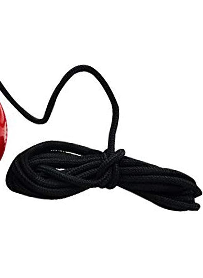 DSC Hanging Synthetic Cricket Ball (Red)| Rubber | Suitable for Practice Game | Solid inner core | Weatherproof | Training | Lightweight  - Image 4