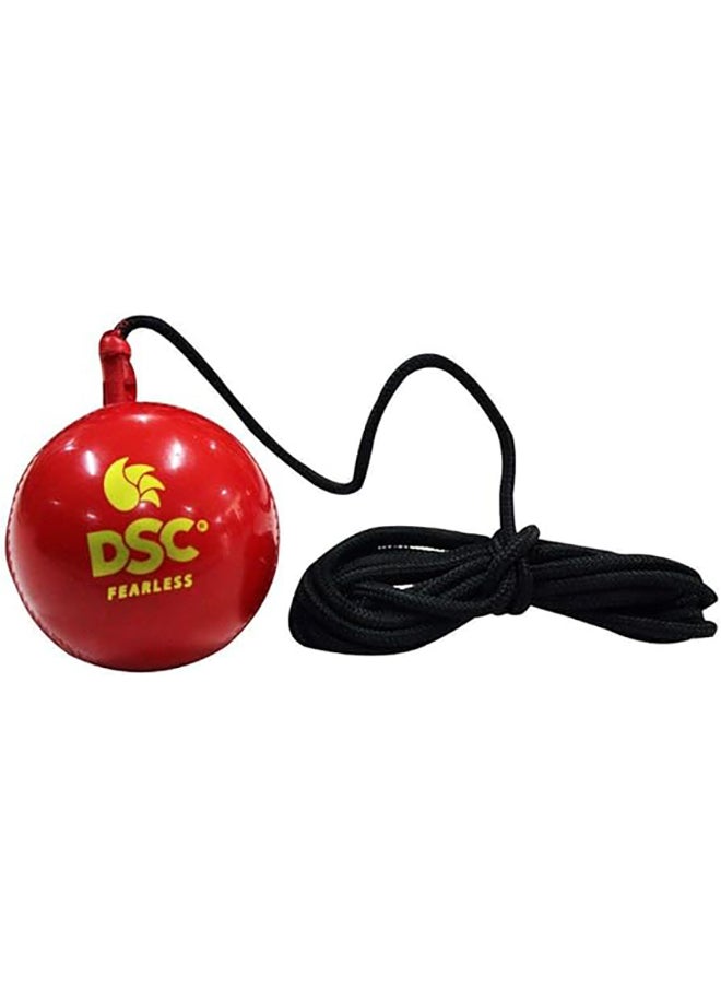 DSC Hanging Synthetic Cricket Ball (Red)| Rubber | Suitable for Practice Game | Solid inner core | Weatherproof | Training | Lightweight  - Image 3