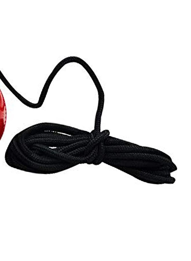 DSC Hanging Synthetic Cricket Ball (Red)| Rubber | Suitable for Practice Game | Solid inner core | Weatherproof | Training | Lightweight  - Image 5