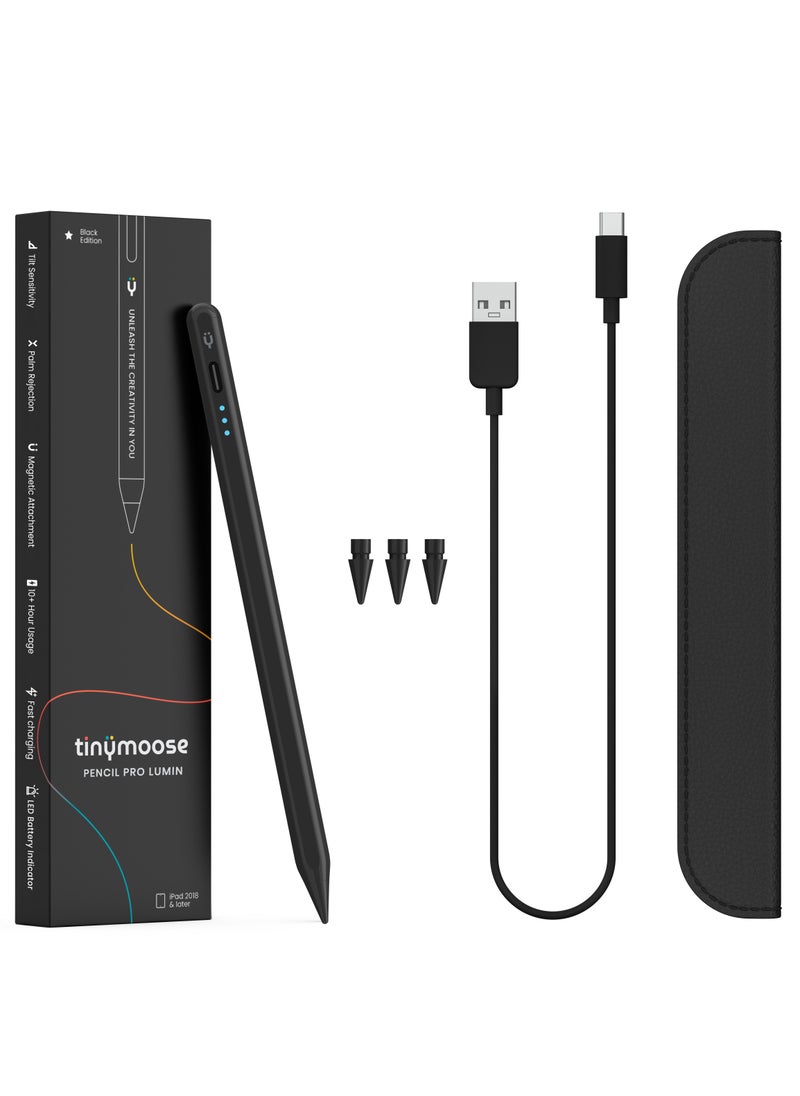 Active Digital Stylus Pen Pencil Pro Lumin 2nd generation iPad Pen with Fast Charging & Palm Rejection For Apple iPad 2018 and Later Black Edition - pzsku/Z21627CBBC913B831A99AZ/45/_/1687808164/d8773476-8760-4d21-b3b5-26b084b779e1