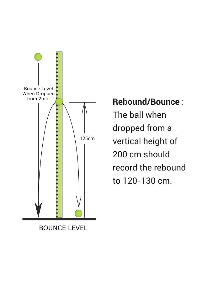 نيفيا كرات تنس خفيفة الوزن للكريكيت - عبوة من 6 كرات - Image 4