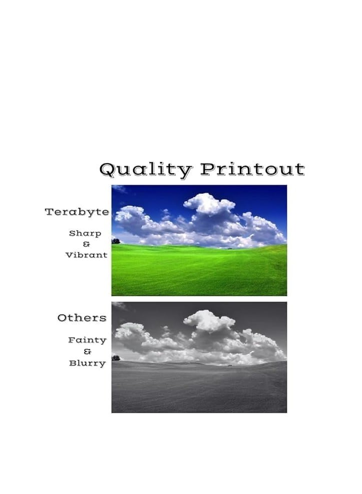 Terabyte خرطوشة حبر متوافقة 410A لطابعات Color Laserjet Pro MFP M452dn M452dw M452nw M477fdw M477fnw M477fdn M377dw (أسود) - Image 2