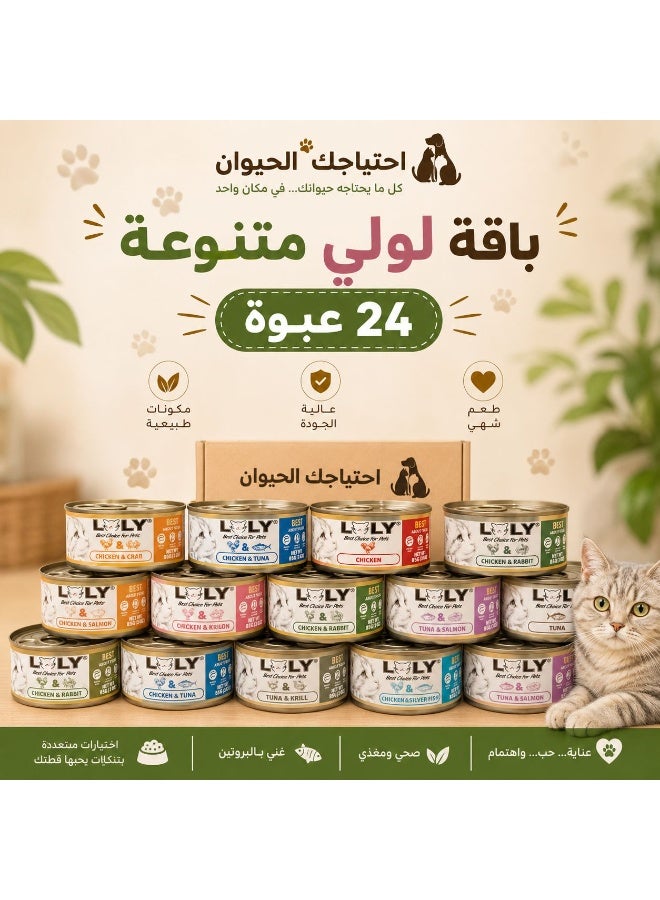 Lolly 85g Assorted Flavors Pack - 24 Packs