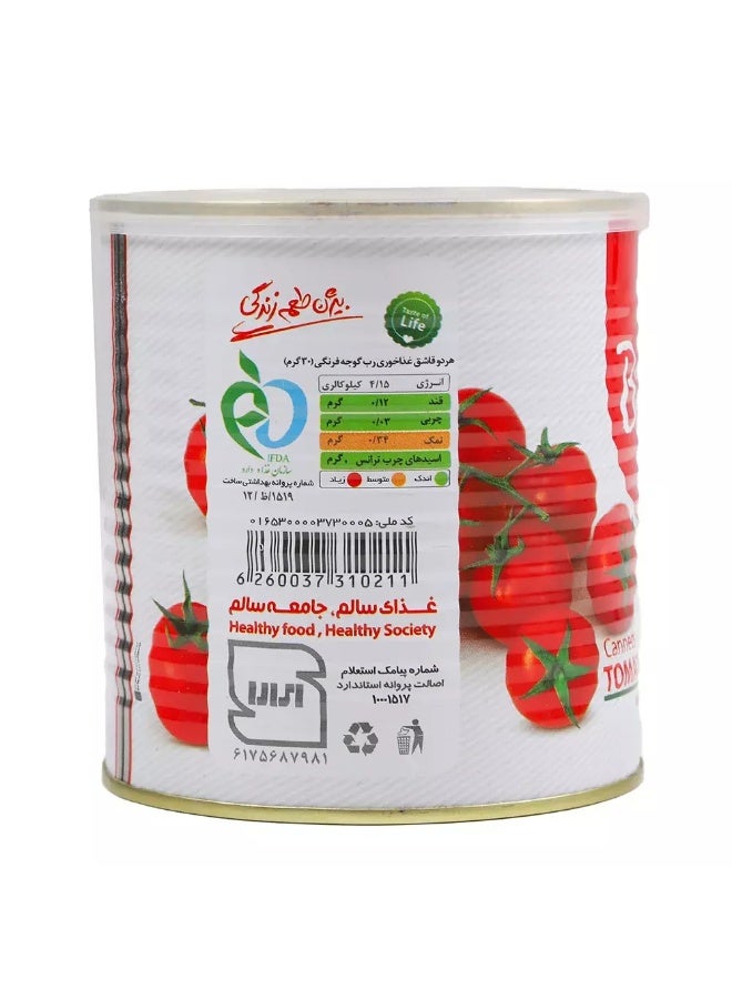 bijan معجون الطماطم المعلب بيجان 800 جرام - Image 2