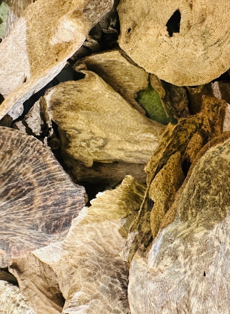 أودي SriLankan Char Oud Wood– AJ VIP Premium Adam Jungle Agarwood 12 Grams - Image 1