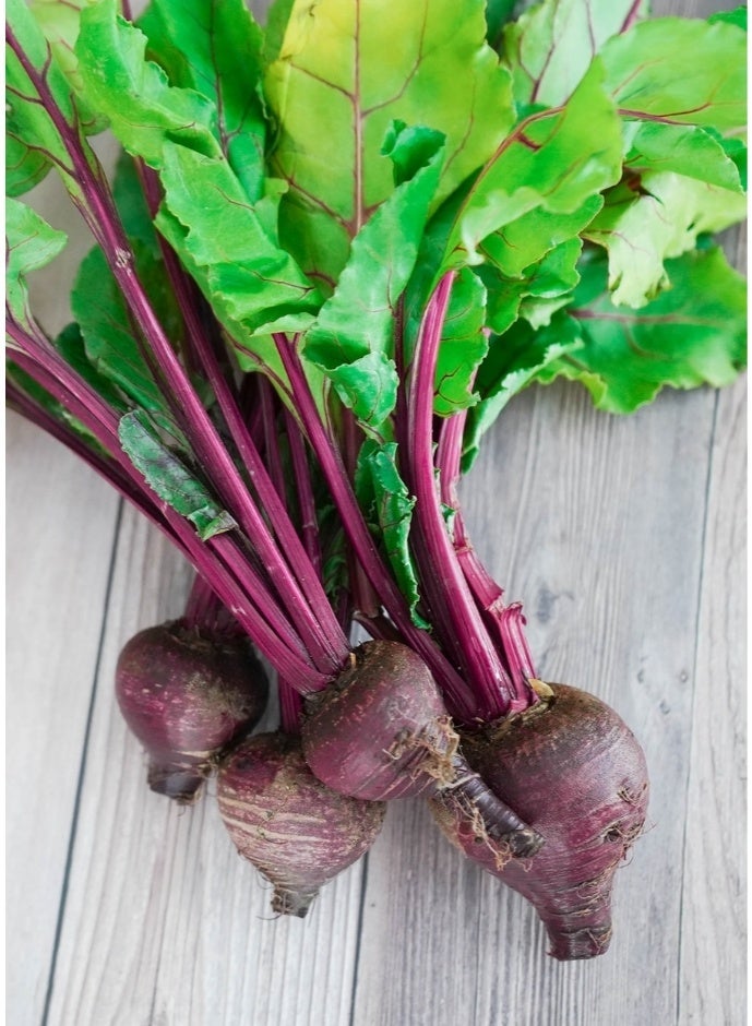 Sorland's Pure Beet Root Powder -100 Gram (100% Natural | No Additives | Nutrient-Rich Superfood) - Image 4