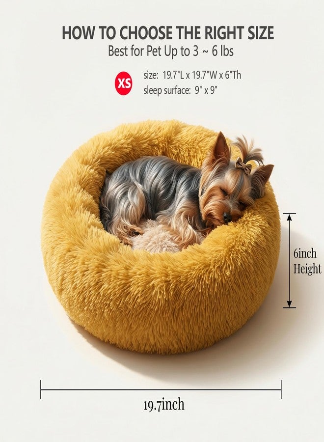 nononfish Calming Donut Dogs Beds for Small Dogs Washable,19inch Fluffy Round Puppy Bed for Puppies,Cats & Toy Breeds with Raised Rim,Fits up to 15 lbs Pets,Orange - Image 3