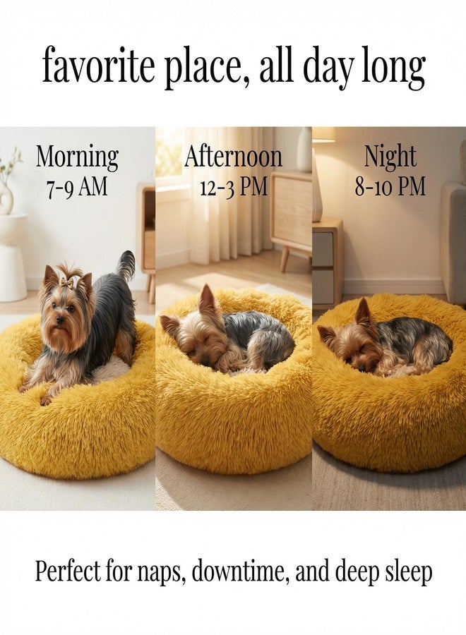 nononfish Calming Donut Dogs Beds for Small Dogs Washable,19inch Fluffy Round Puppy Bed for Puppies,Cats & Toy Breeds with Raised Rim,Fits up to 15 lbs Pets,Orange - Image 5