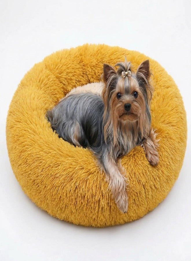 nononfish Calming Donut Dogs Beds for Small Dogs Washable,19inch Fluffy Round Puppy Bed for Puppies,Cats & Toy Breeds with Raised Rim,Fits up to 15 lbs Pets,Orange - Image 1