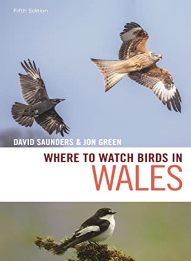 Where to Watch Birds in Wales 