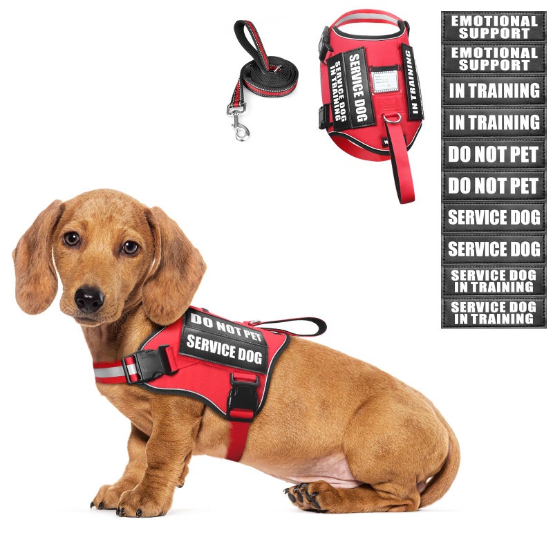 WINSEE Small Dog Harness & Leash Set, Red, X-Small, Nylon, Emotional Support Therapy Vest with 10 Patches, Breathable, Adjustable, for Service Dog Training - Image 1