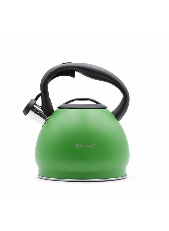 HausRoland Haus Roland Whistling Kettle Stainless Steel Tea Kettle 3 Liter Ergonomic Handle Whistling Teapot with Nylon Knob Lid Suitable for Induction and Gas Full Matte Green - Image 1
