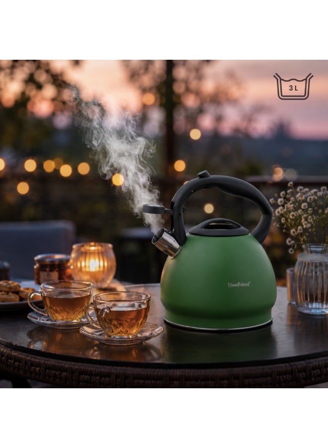 HausRoland Haus Roland Whistling Kettle Stainless Steel Tea Kettle 3 Liter Ergonomic Handle Whistling Teapot with Nylon Knob Lid Suitable for Induction and Gas Full Matte Green - Image 5