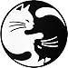 Papapatch Cat Yin Yang Kung Fu Chinese Tao Balance Sign Vinyl Window Laptop Wall Decor Decal Sticker (STK-CAT-YIN-YANG) - Image 2
