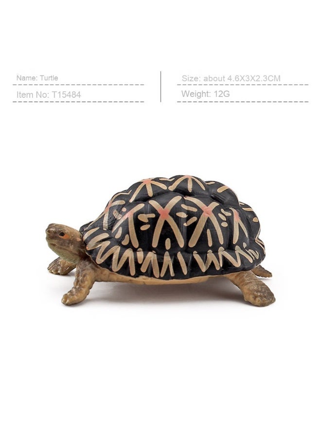 NIBEMINENT Realistic Amphibious Reptile Turtle Model