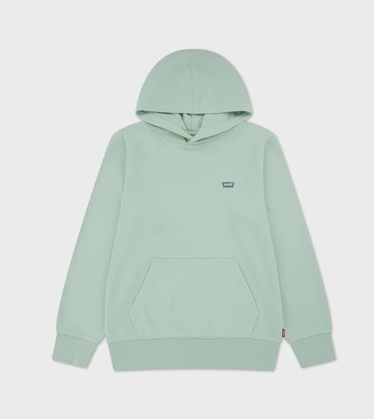 Levi's LVB MINI BATWING PULL OVER HOO