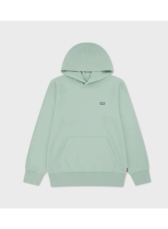 Levi's LVB MINI BATWING PULL OVER HOO
